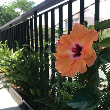 La An Homestay Hoi An Eksteriør billede
