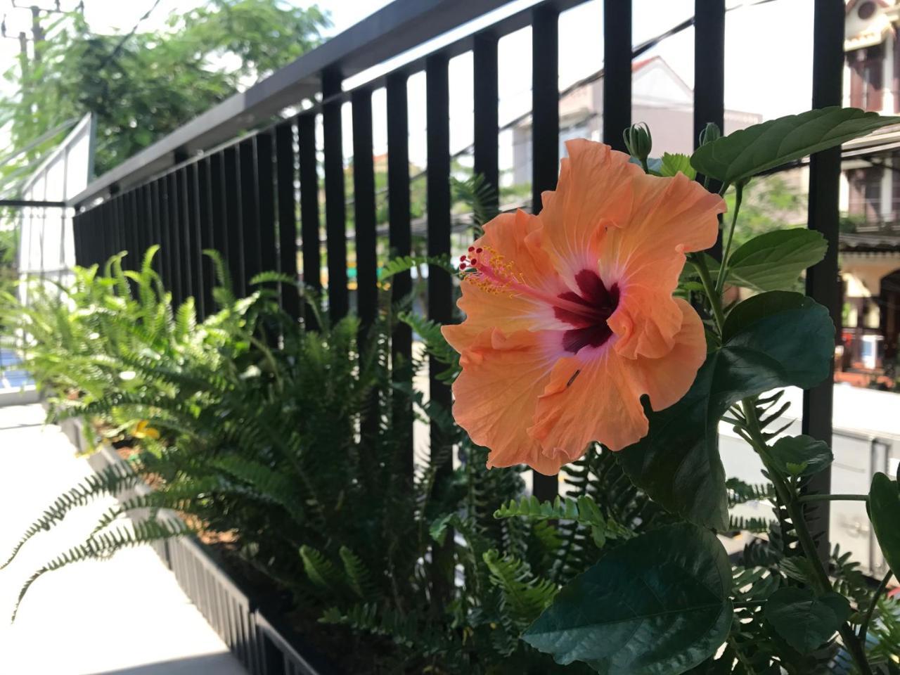 La An Homestay Hoi An Eksteriør billede